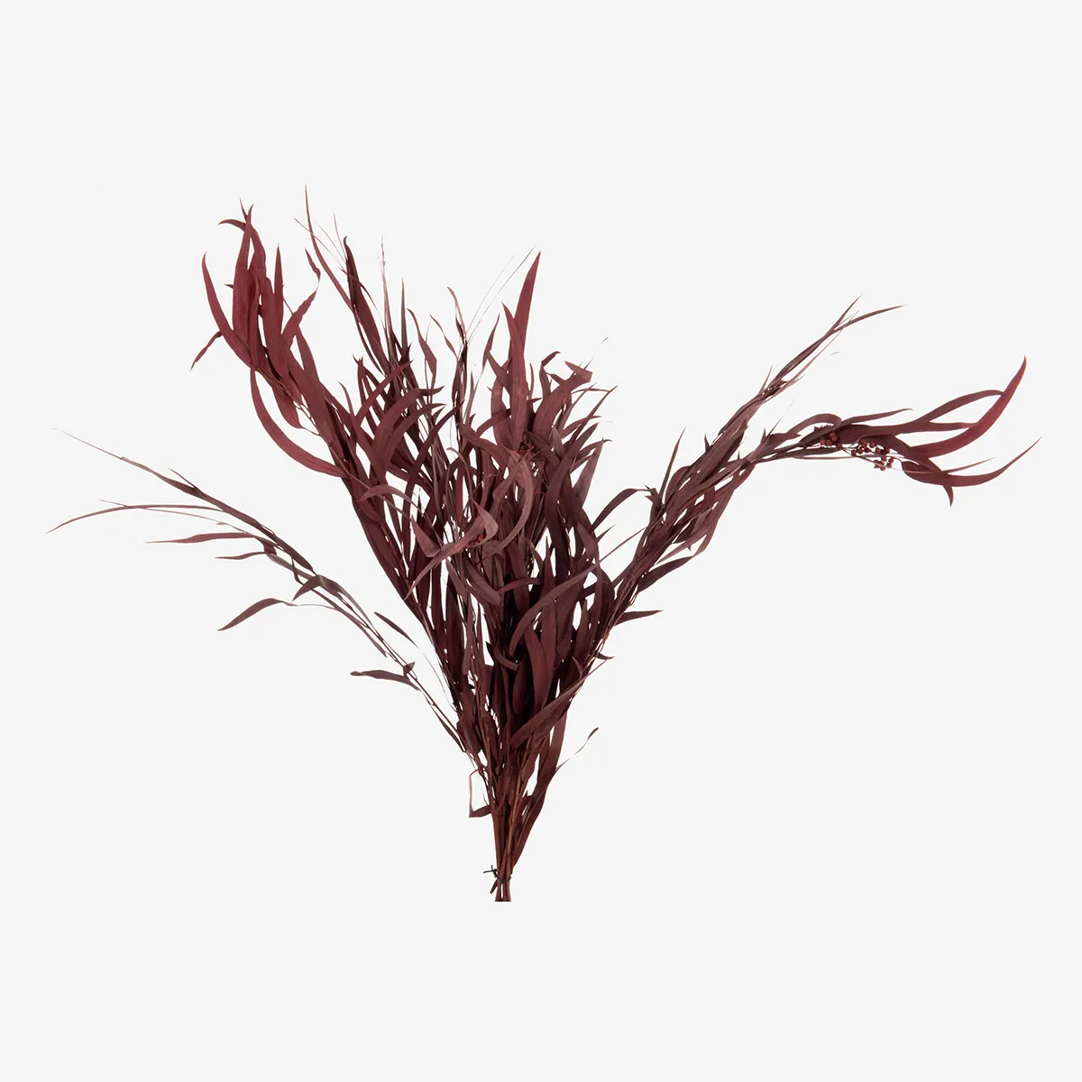 EUCALYPTUS bouquet artificiel