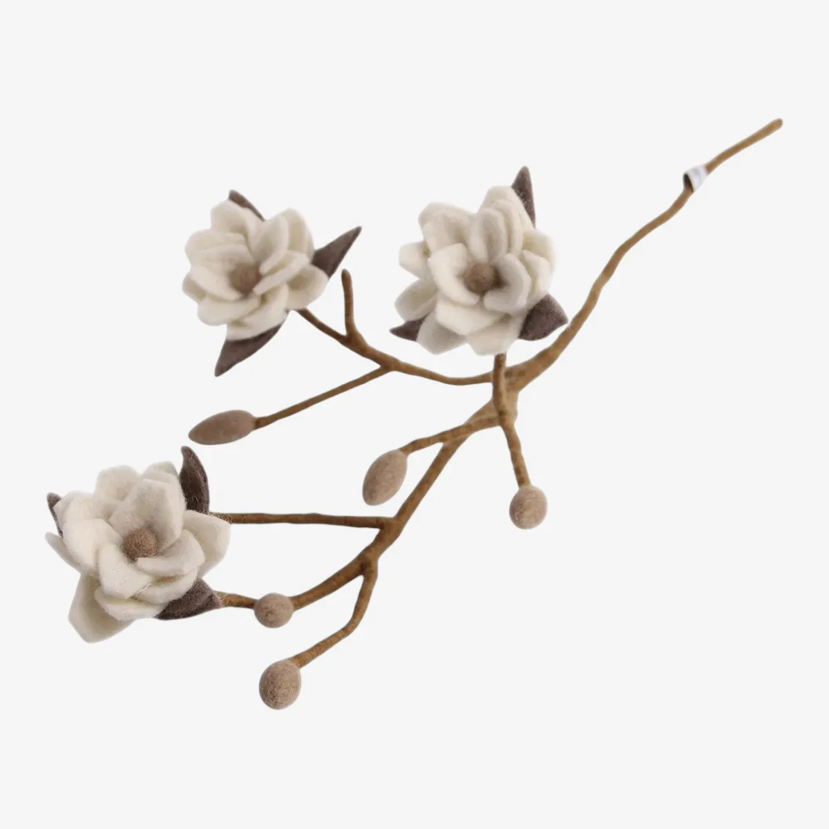 MAGNOLIA branche – Image 2