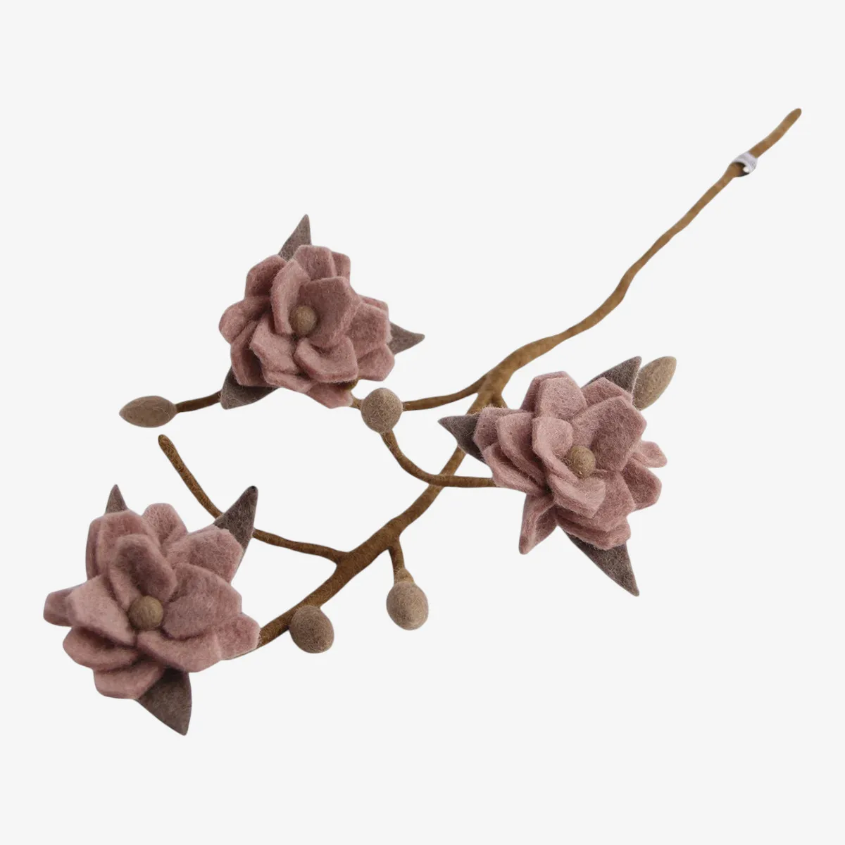 MAGNOLIA branche