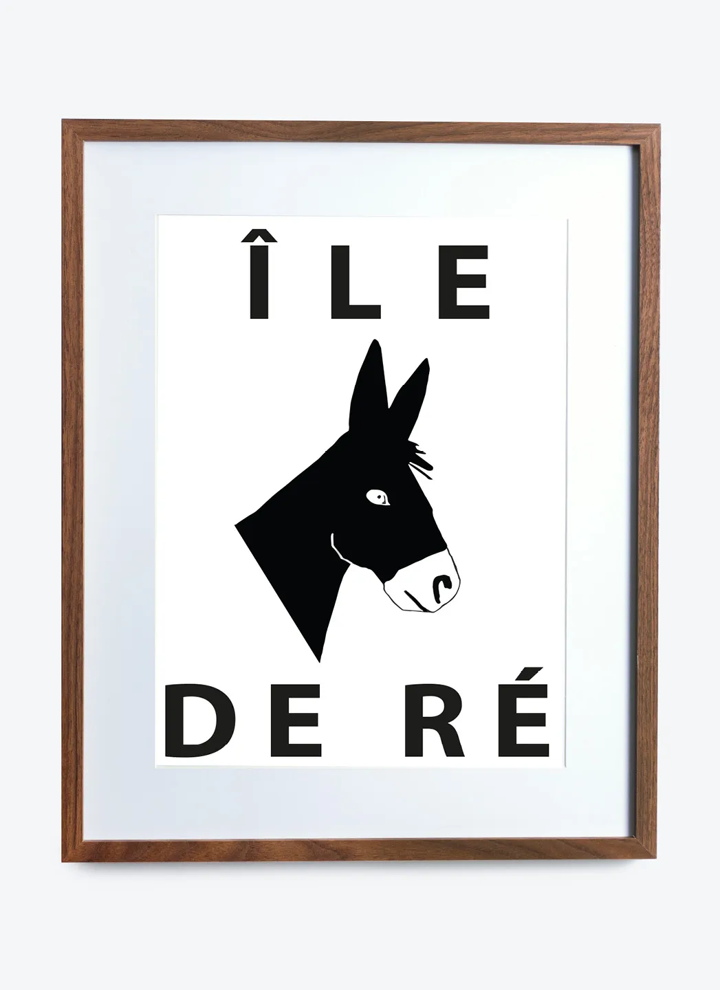 Affiche Encadrée L’âne (Ile de Ré)