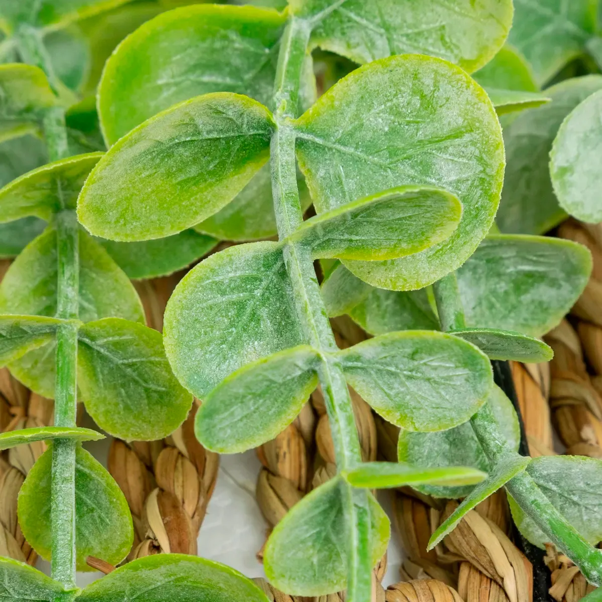 ZEA eucalyptus à suspendre – Image 2