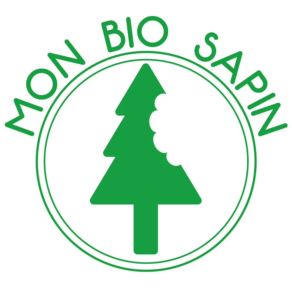 Pousses de sapin bio – Image 3