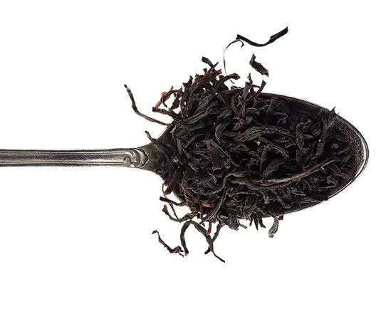 Ceylan Op – Image 2