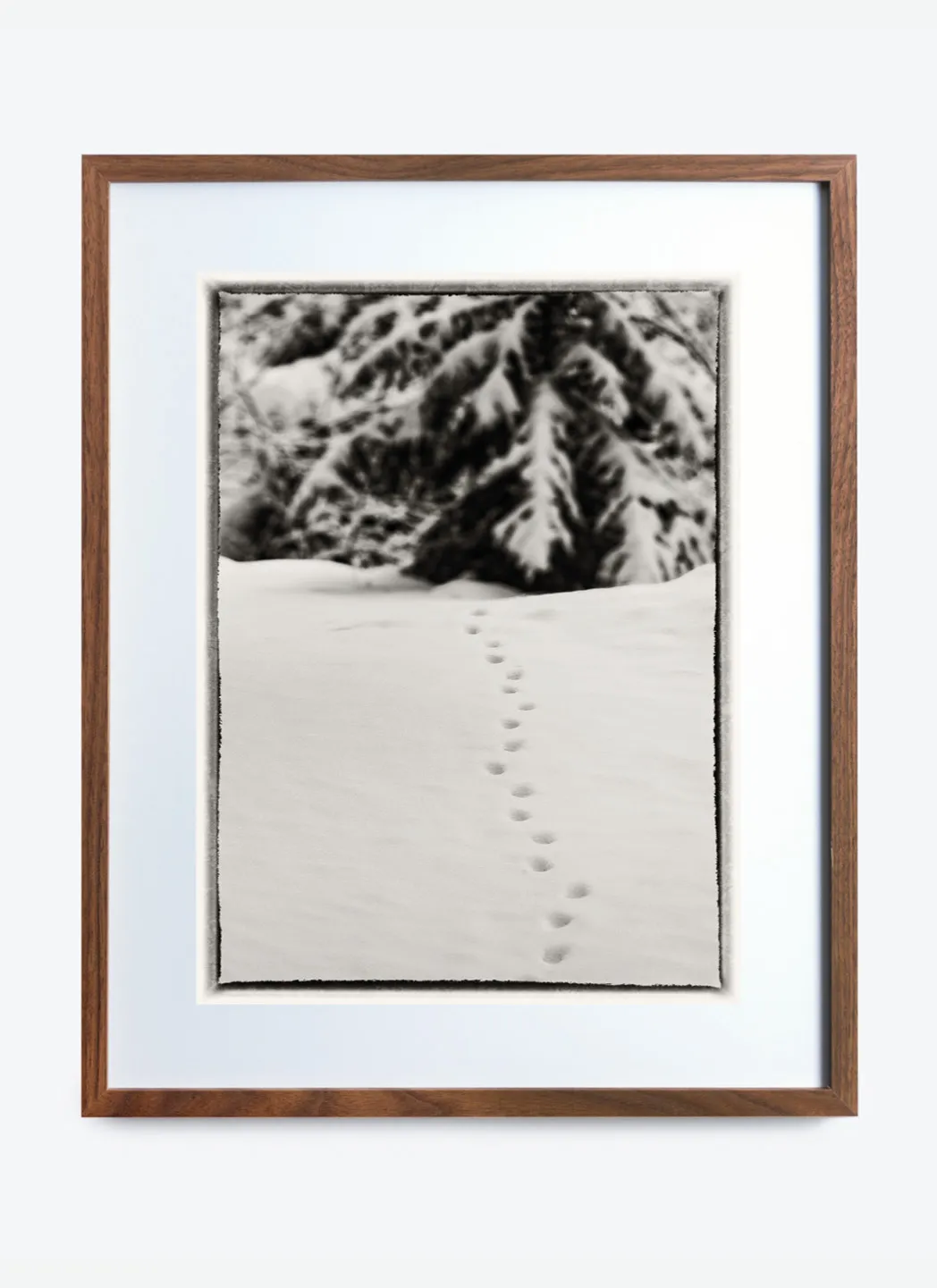 Photo Encadrée – Courchevel