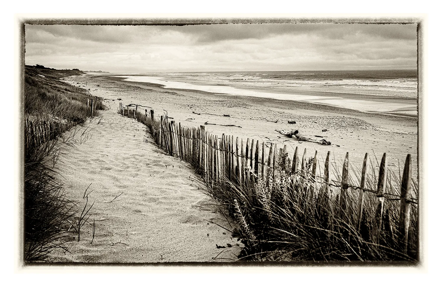 La plage pas des boeufs (Ile de Ré) (2)