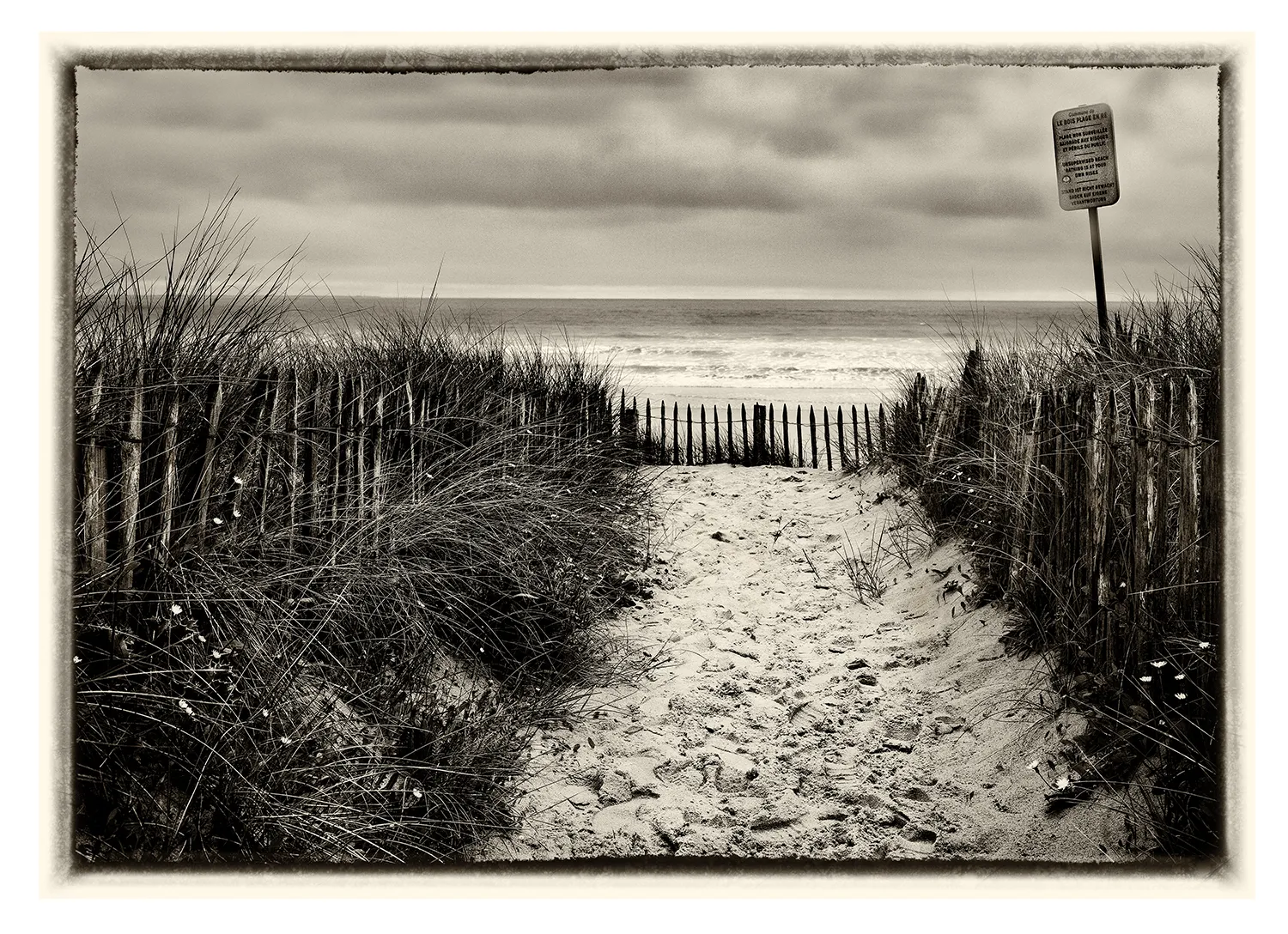La plage pas des boeufs (Ile de Ré) (3)