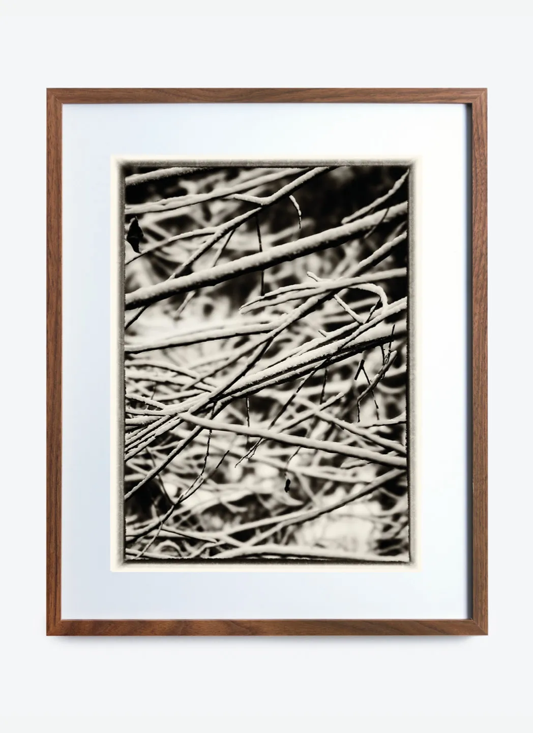 Photo Encadrée – La Tania