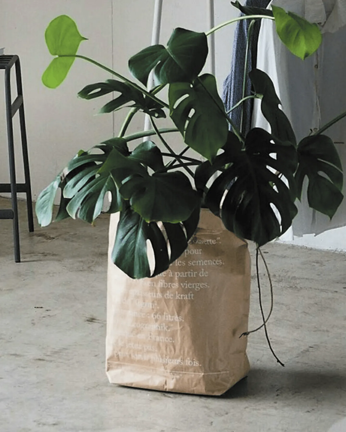 Le sac en kraft brun – Image 2