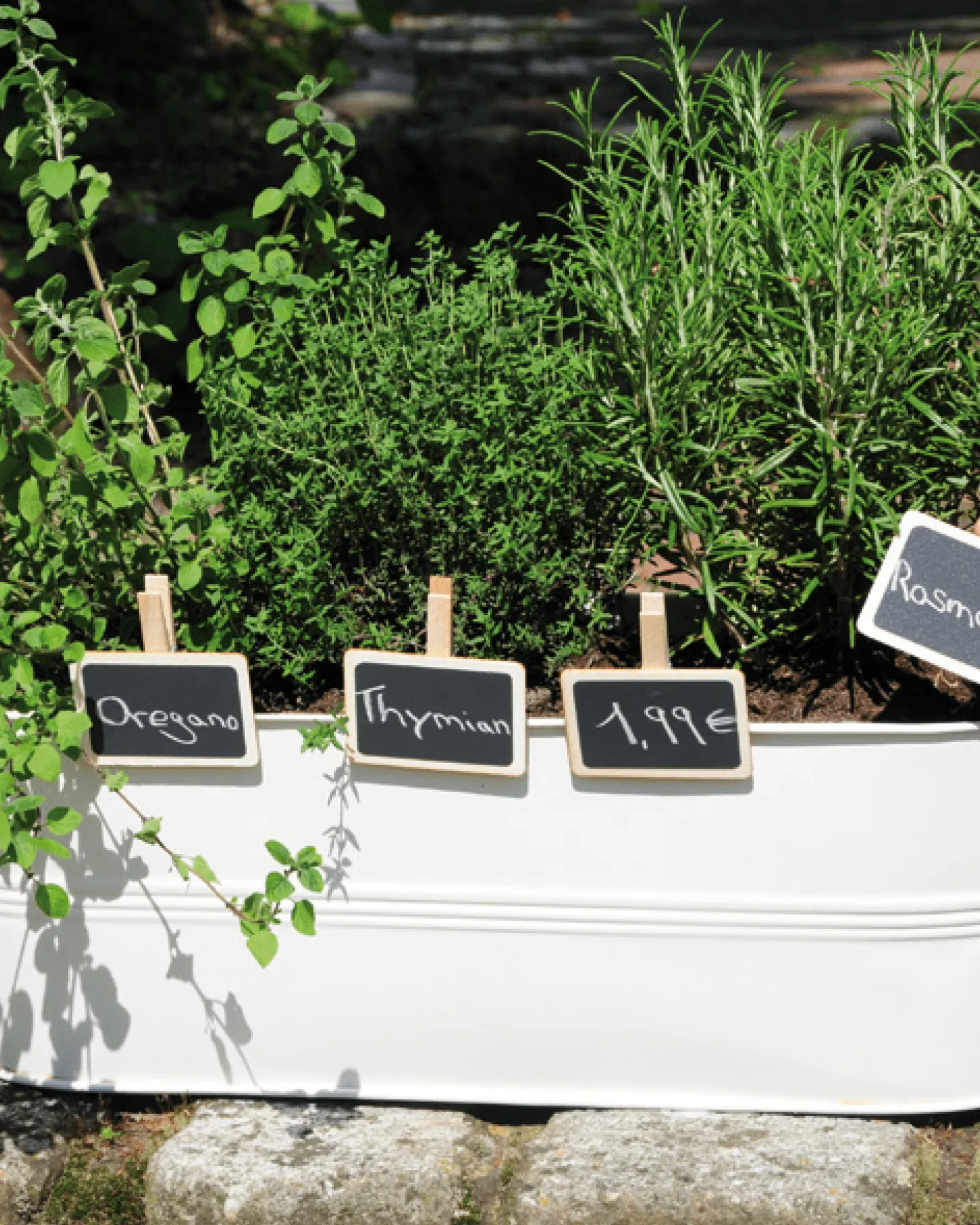 Plaquette en bois craie