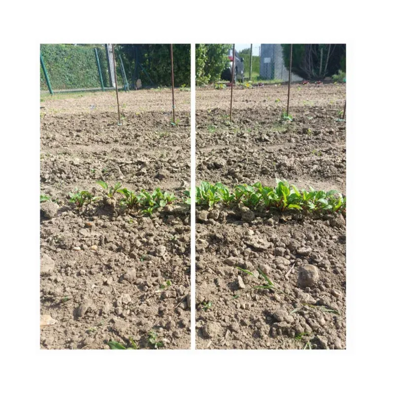 Pur jus de lombricompost liquide – TERSEN liquide – Image 6