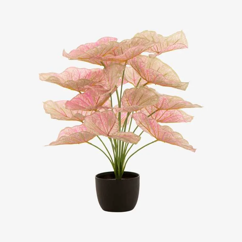 CALADIUM plante artificielle en pot