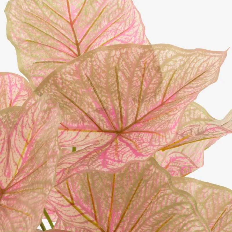 CALADIUM plante artificielle en pot – Image 3