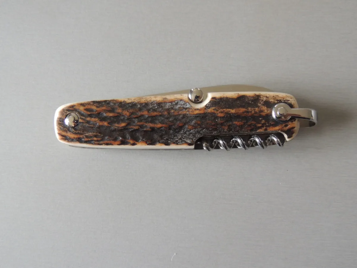 Couteau CANIF cerf sambar 3 pièces 10 cm Jacques Mongin – Image 3