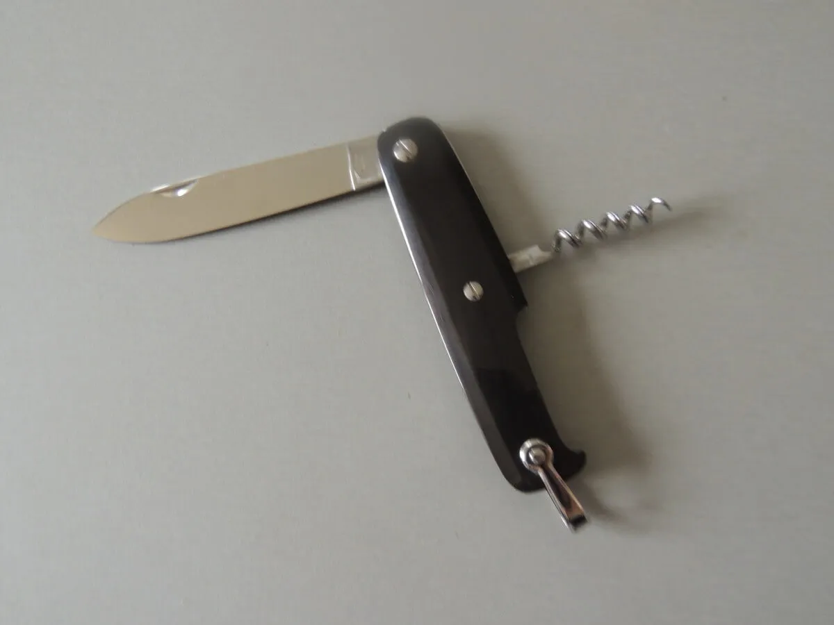 Couteau CANIF buffle 2 pièces 10 cm Jacques Mongin – Image 3