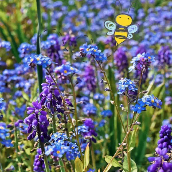 Champ de bonbons bio pour abeilles