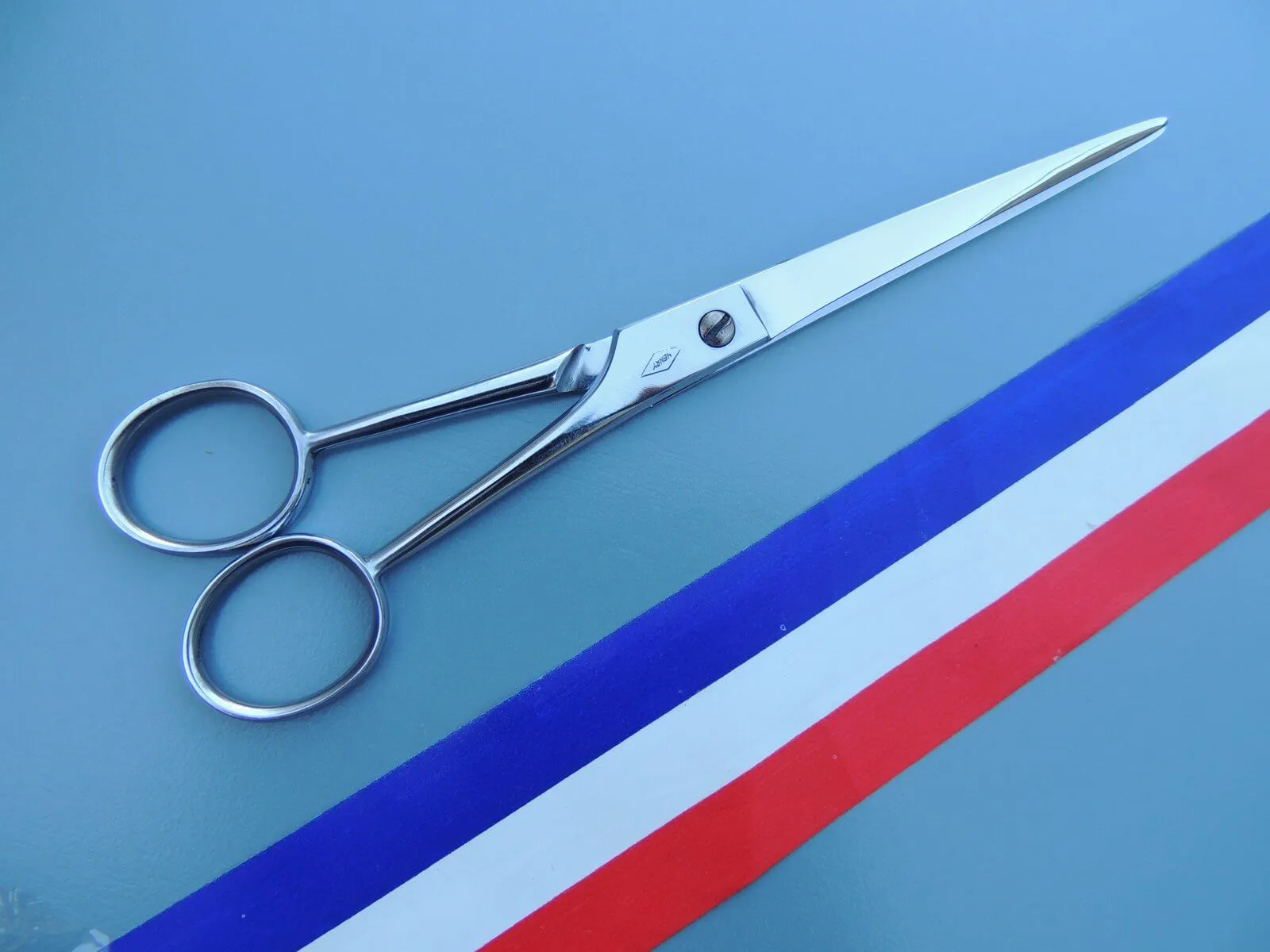 Ciseaux pour toiletteur 20 cm