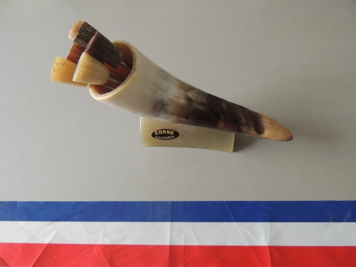 6 piques à escargots/ bigorneaux en corne et inox modèle corne sur socle