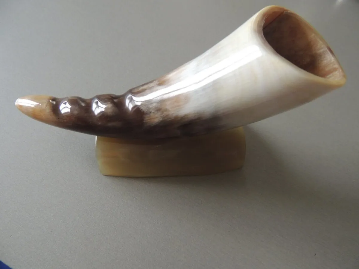 6 piques à escargots/ bigorneaux en corne et inox modèle corne sur socle – Image 4