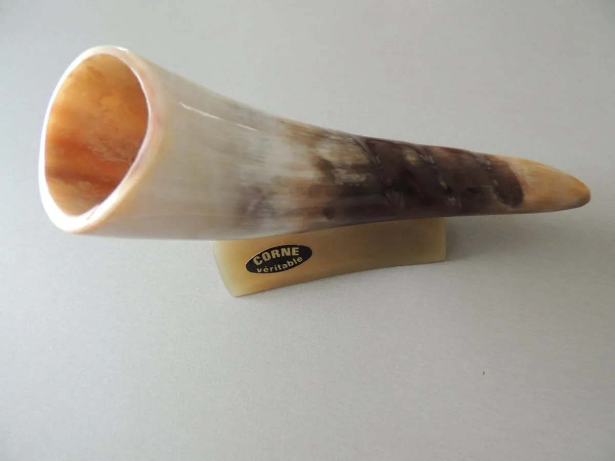 6 piques à escargots/ bigorneaux en corne et inox modèle corne sur socle – Image 5