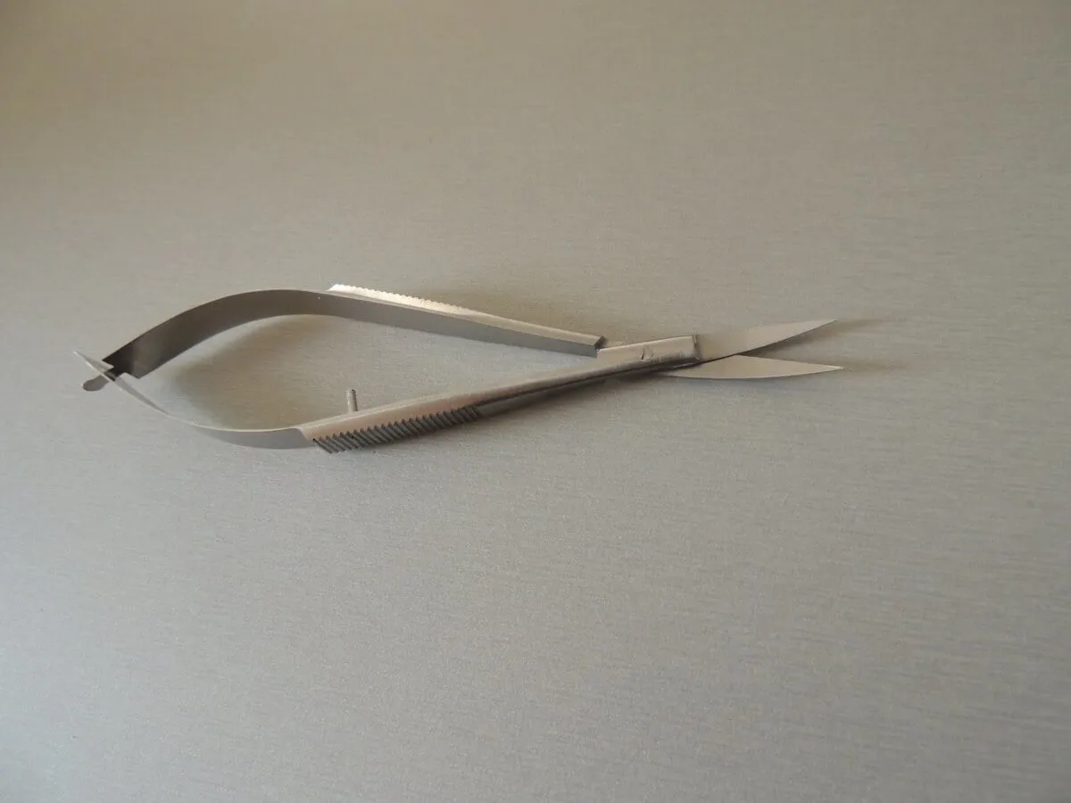 Pince coupe fils inox courbe