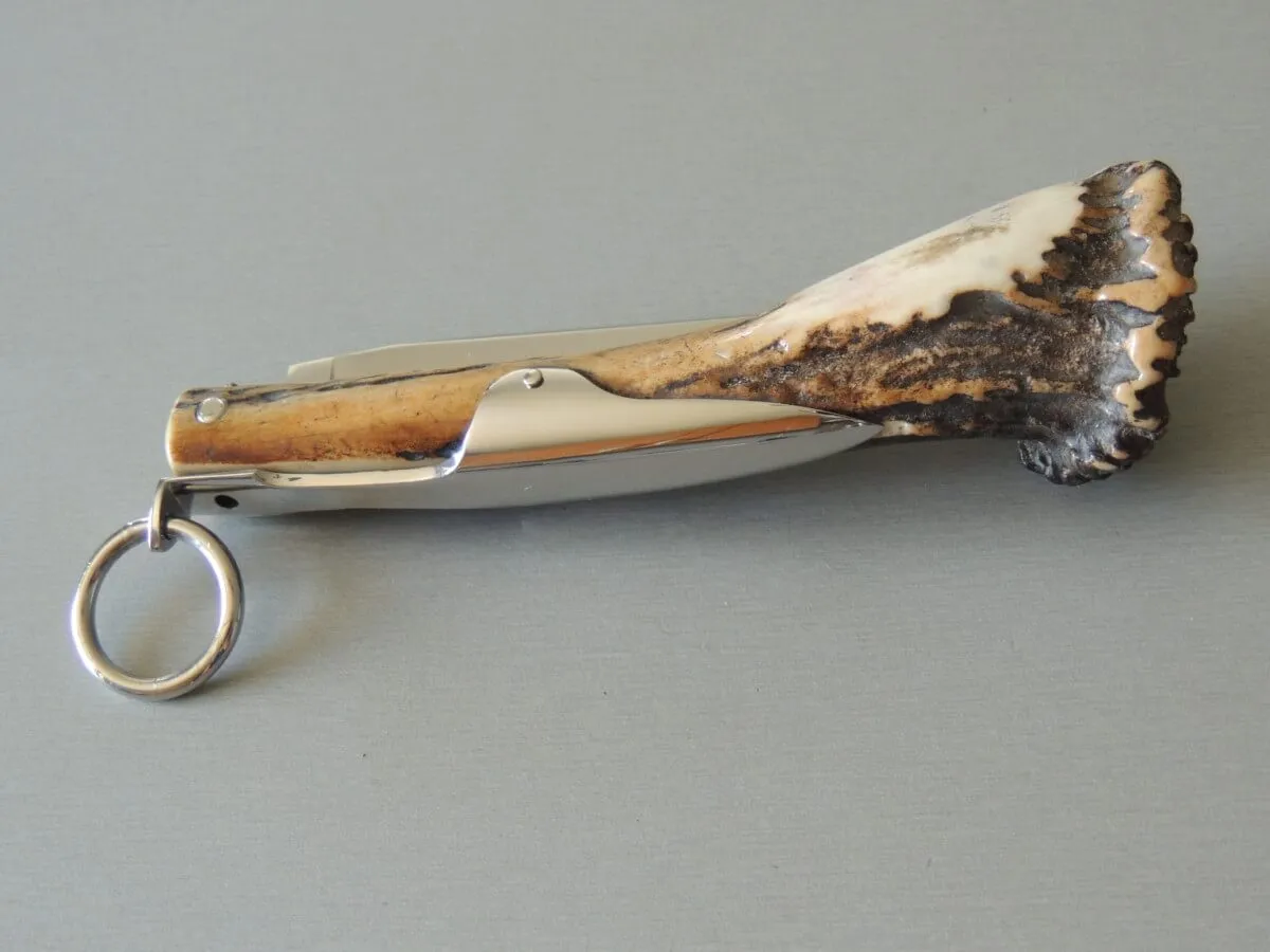 Couteaux couronne cerf 12 cm Jacques Mongin – Image 6