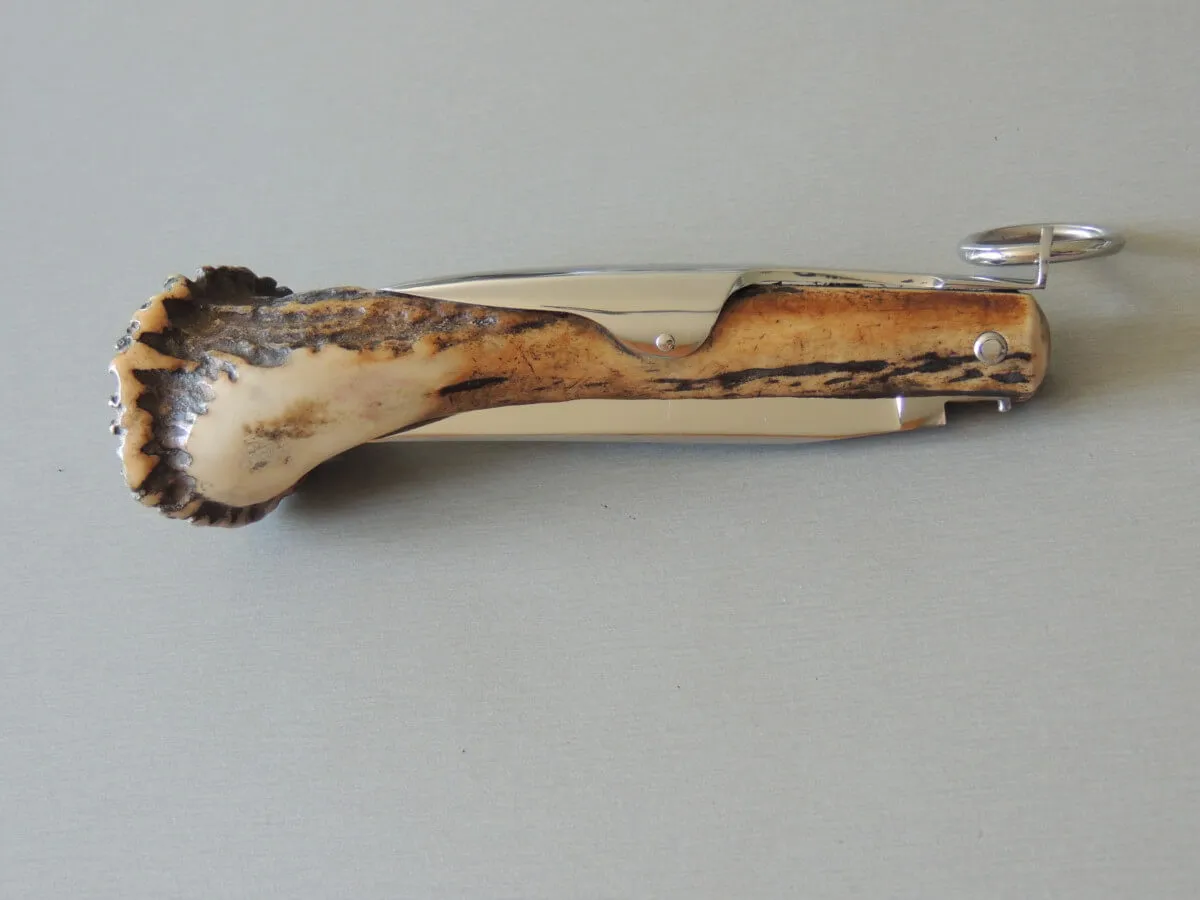 Couteaux couronne cerf 12 cm Jacques Mongin – Image 5