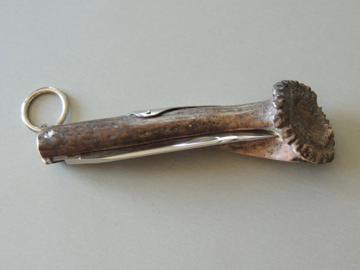 Couteaux couronne cerf 12 cm Jacques Mongin – Image 4