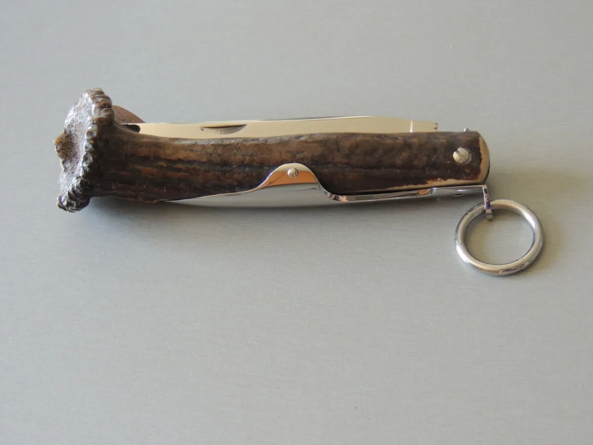 Couteaux couronne cerf 12 cm Jacques Mongin – Image 3