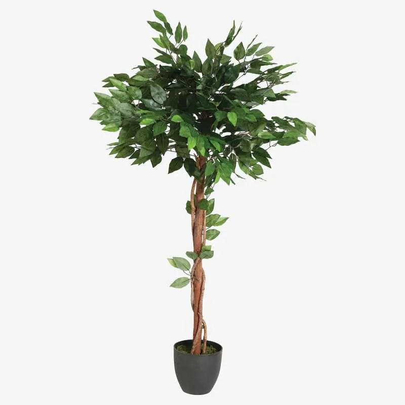 FICUS plante artificielle