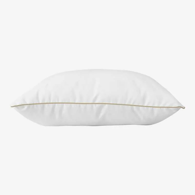 LANTY oreiller moelleux 650g 65×65