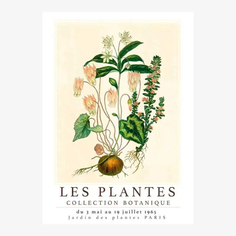 LES PLANTES toile