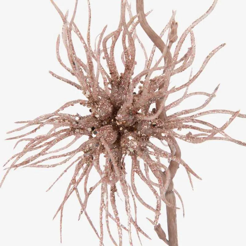 NINA branche oursin – Image 2