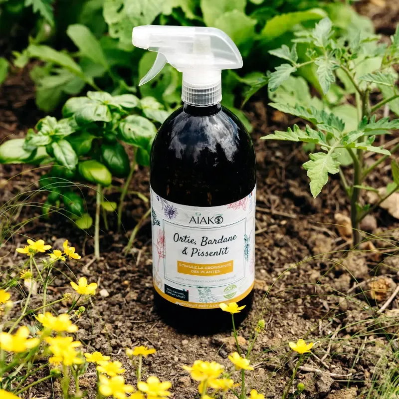 Ortie, bardane et pissenlit – Stimule la croissance des plantes – Image 2