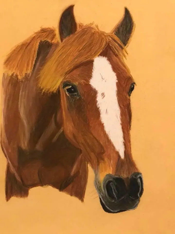 Pastel sec sur papier pastelmat 24x30cm protrait poney Alezan