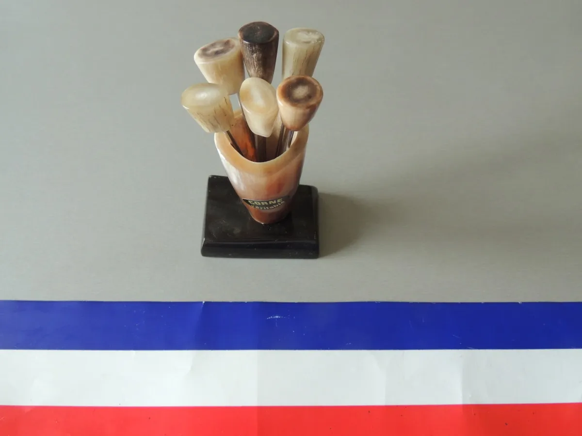 6 piques à escargots/ bigorneaux en corne et inox modèle grand godet