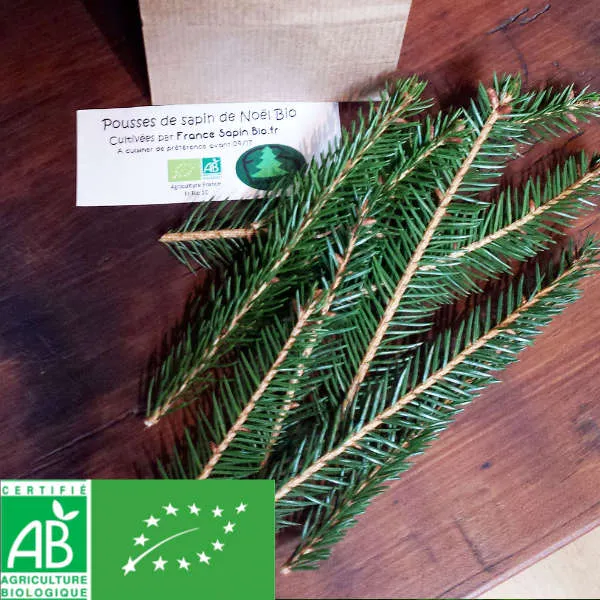 Pousses de sapin bio – Image 2