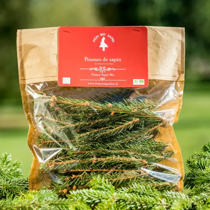 Pousses de sapin bio