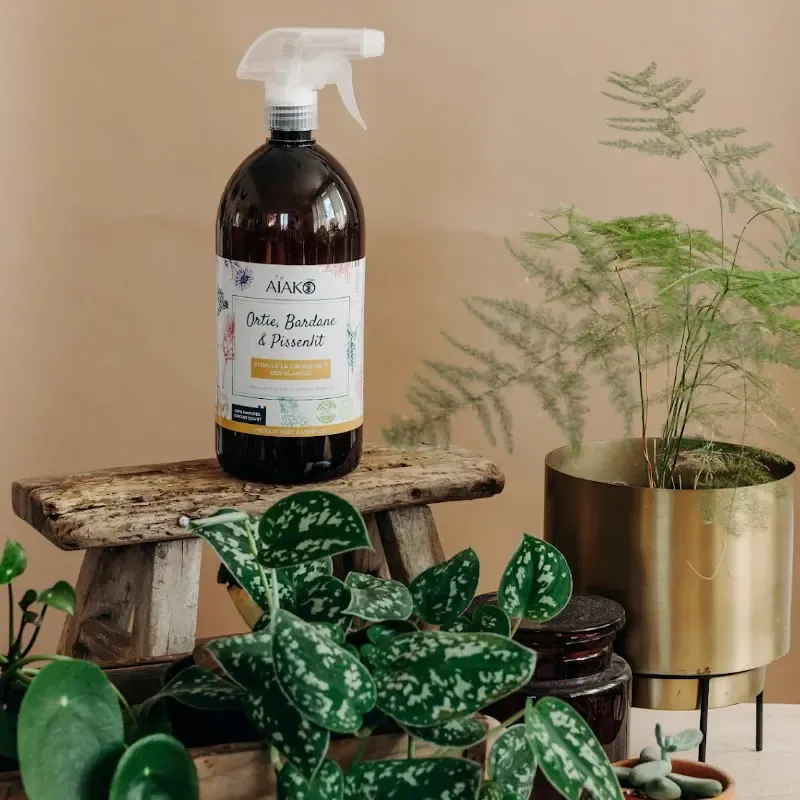 Ortie, bardane et pissenlit – Stimule la croissance des plantes – Image 3