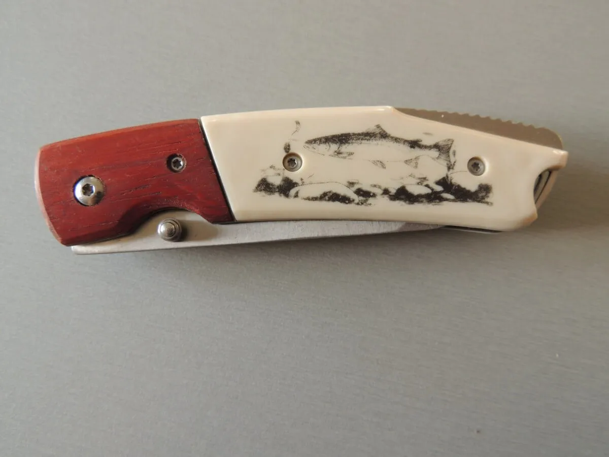 Couteaux Puma-Tec Poisson pacca/ivoirine – Image 3