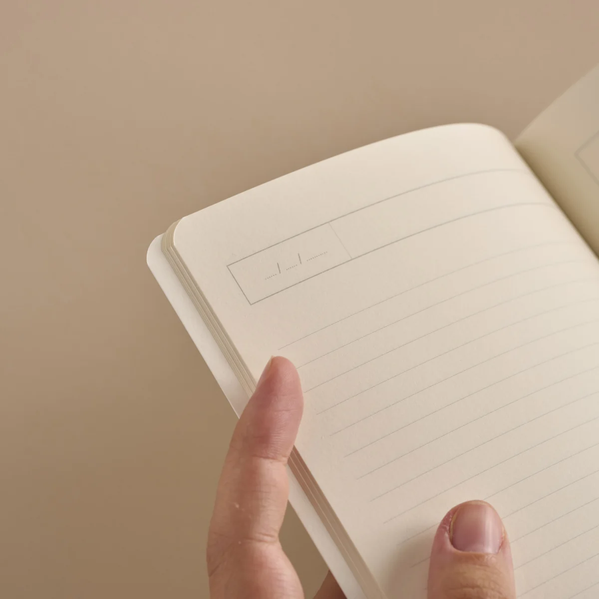 Carnet Ranch Season Paper – Image 4