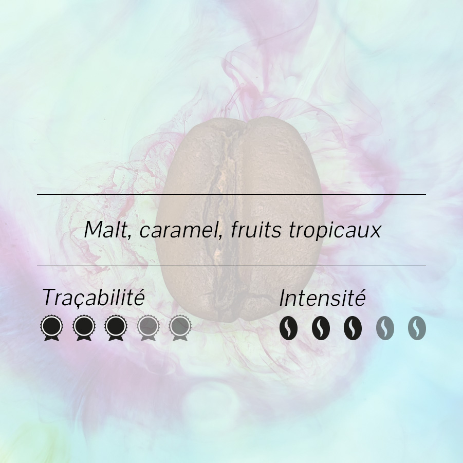 Brésil – Caparao (Bob-o-Link)