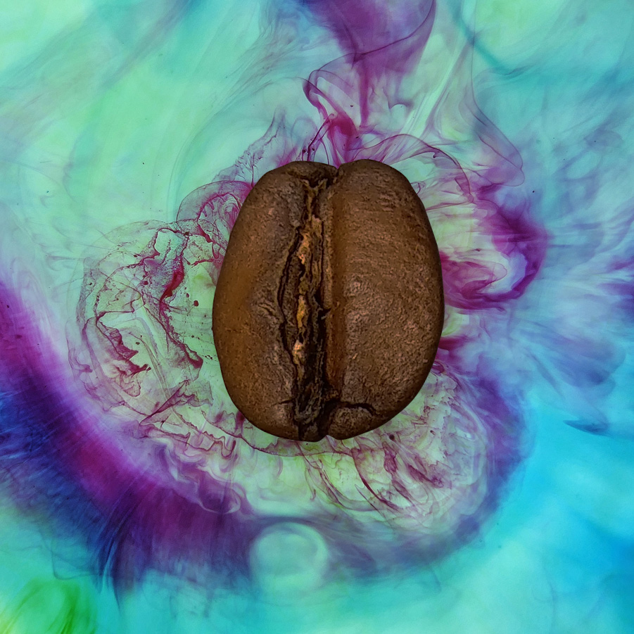 Brésil – Caparao (Bob-o-Link) – Image 2