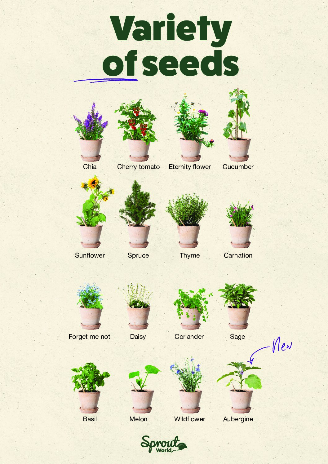 Le Crayon à Planter Personnalisé Sprout – Made in France – Image 6