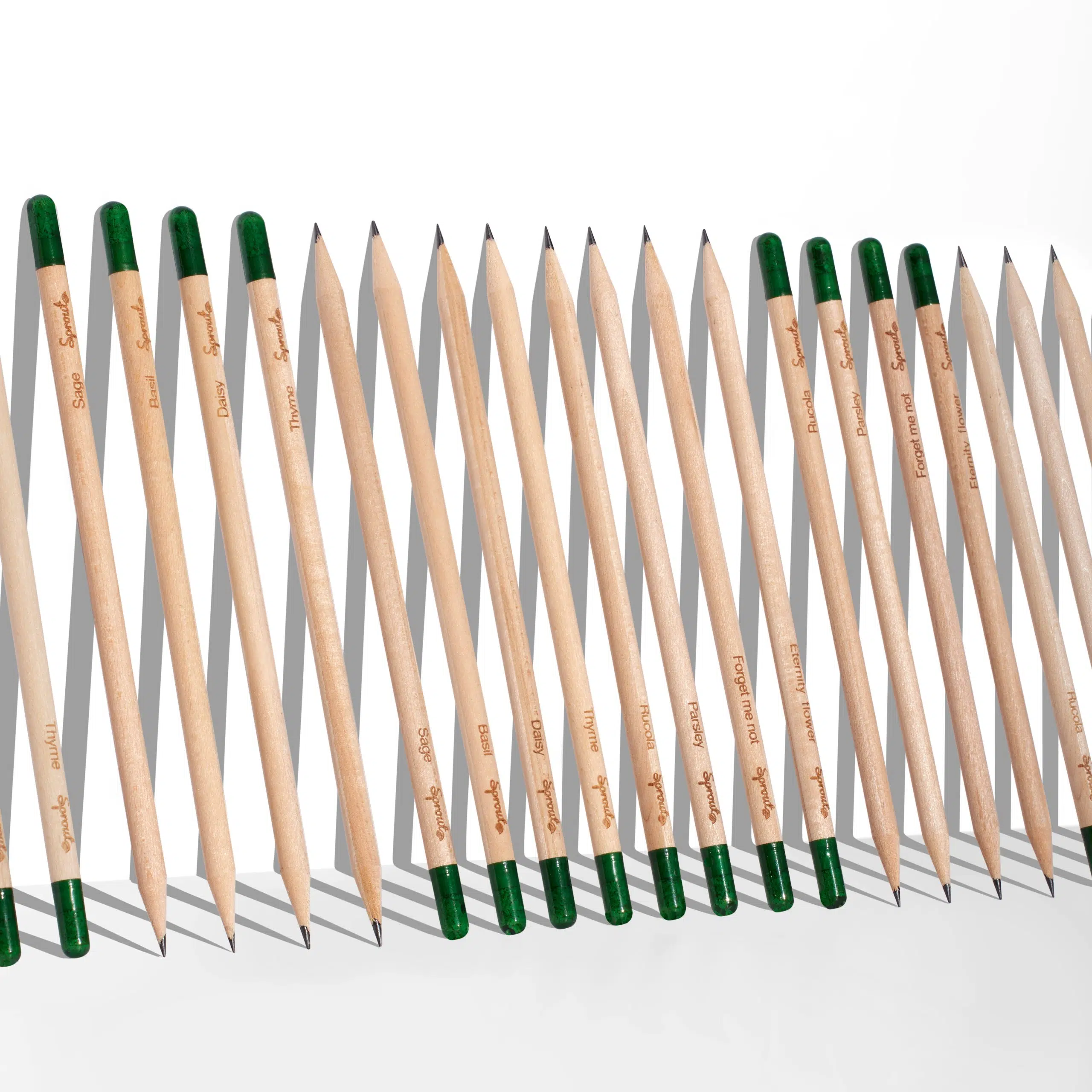 Le Crayon à Planter Personnalisé Sprout – Made in France – Image 5