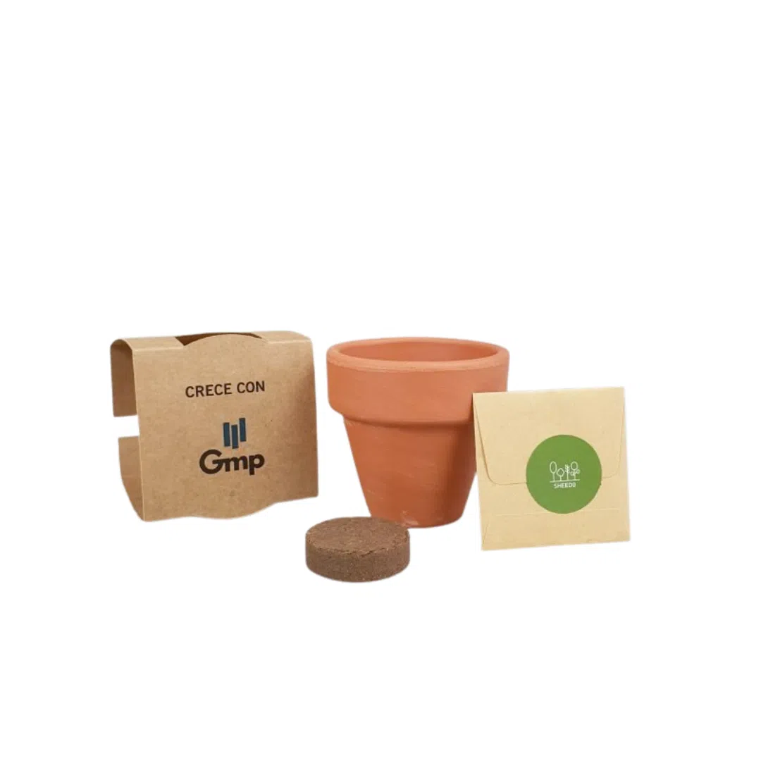 Mini kit plante à faire pousser – Pot en argile