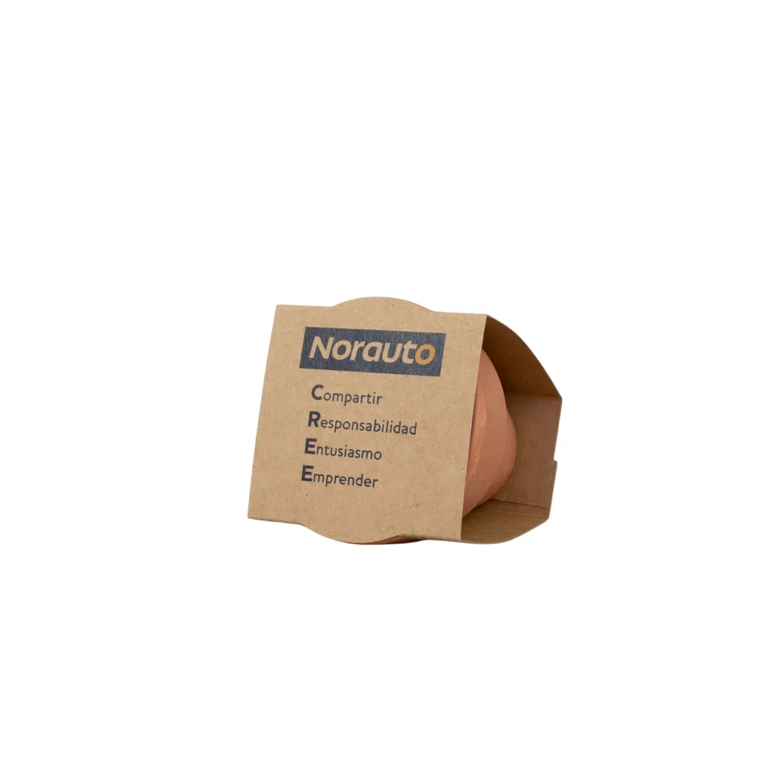 Mini kit plante à faire pousser – Pot en argile – Image 3